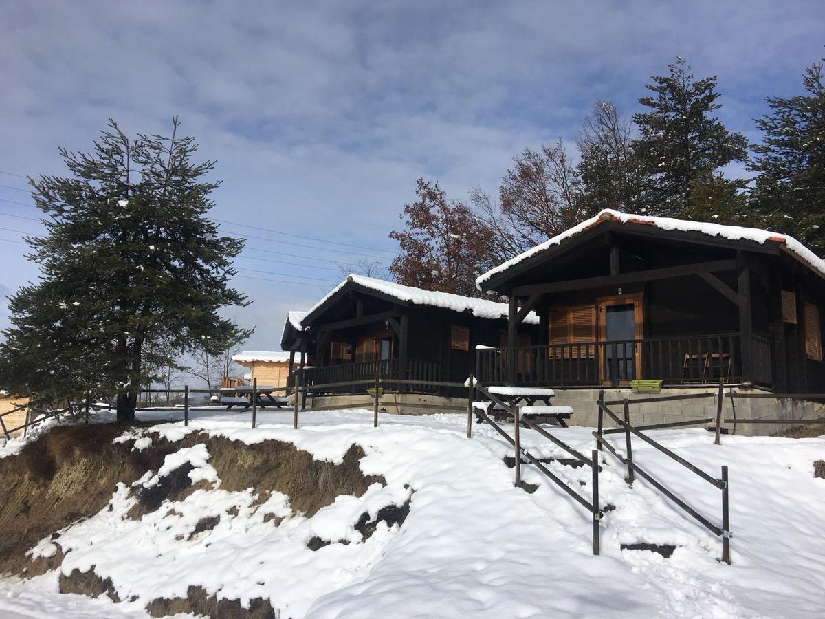 Camping Ripolles Exterior photo