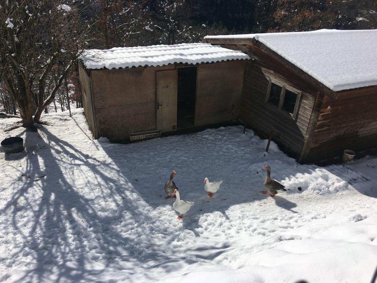 Camping Ripolles Exterior photo